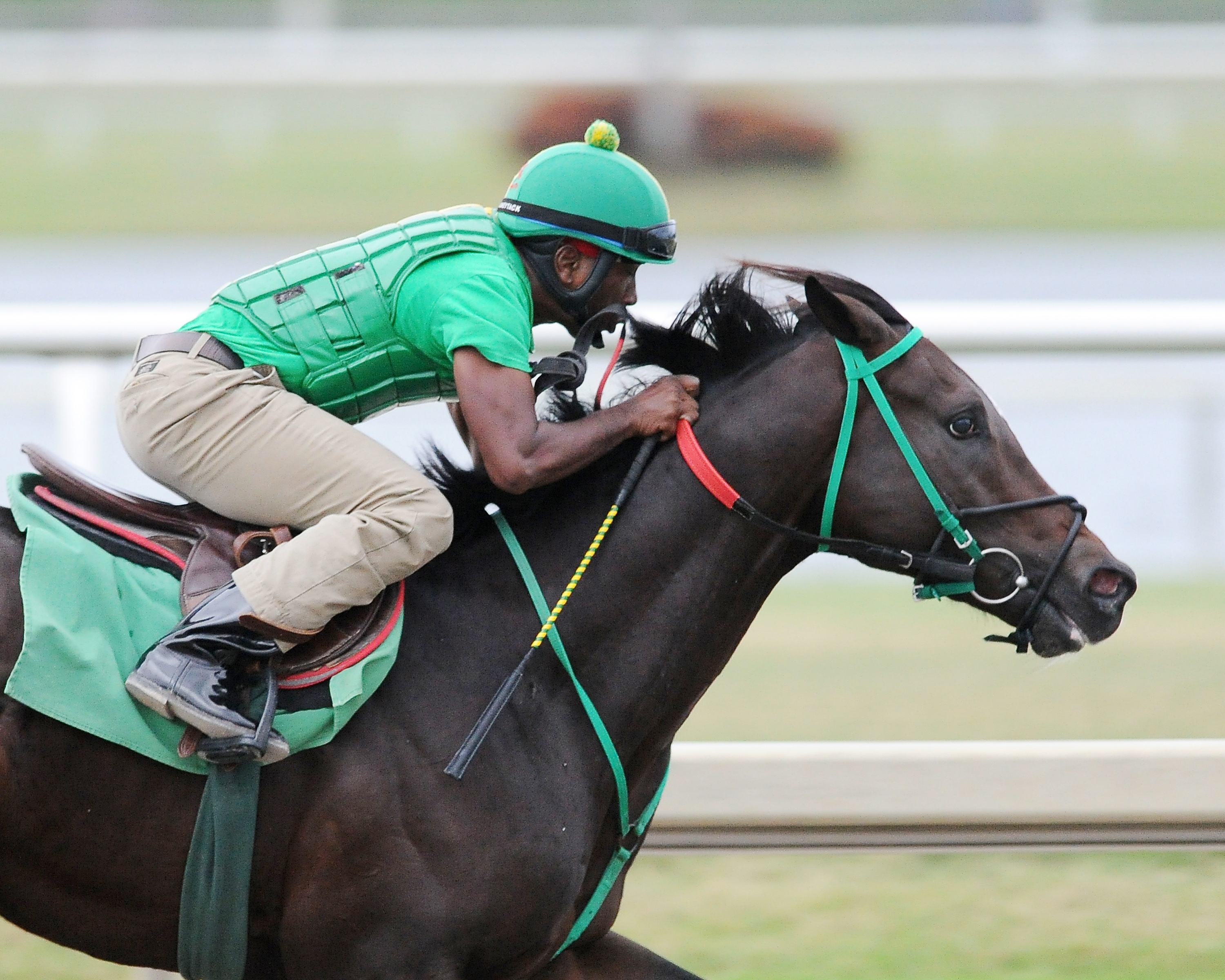 Three Rules breezes at Gulfstream Park on Oct. 28