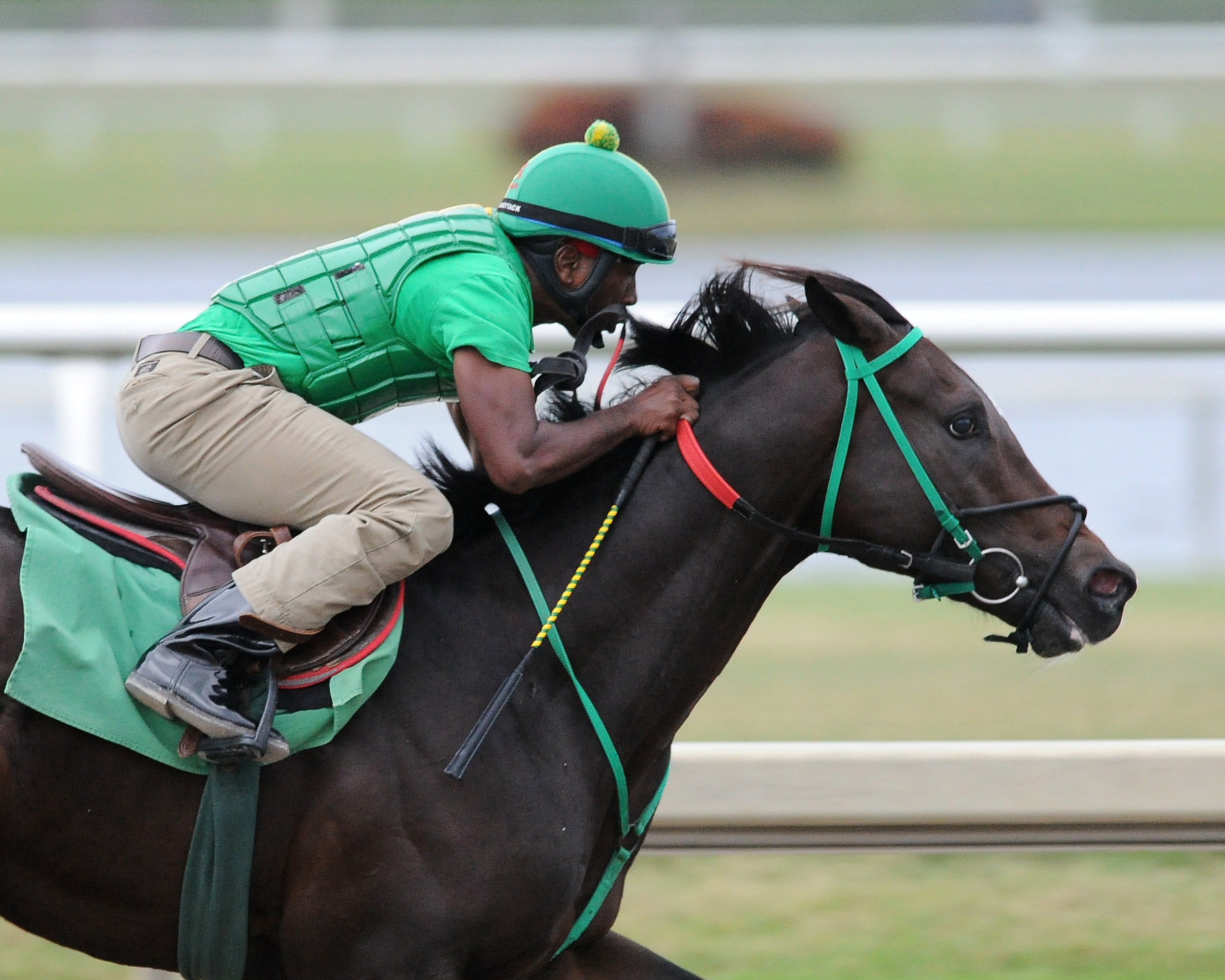 Three Rules breezes at Gulfstream Park on Oct. 28