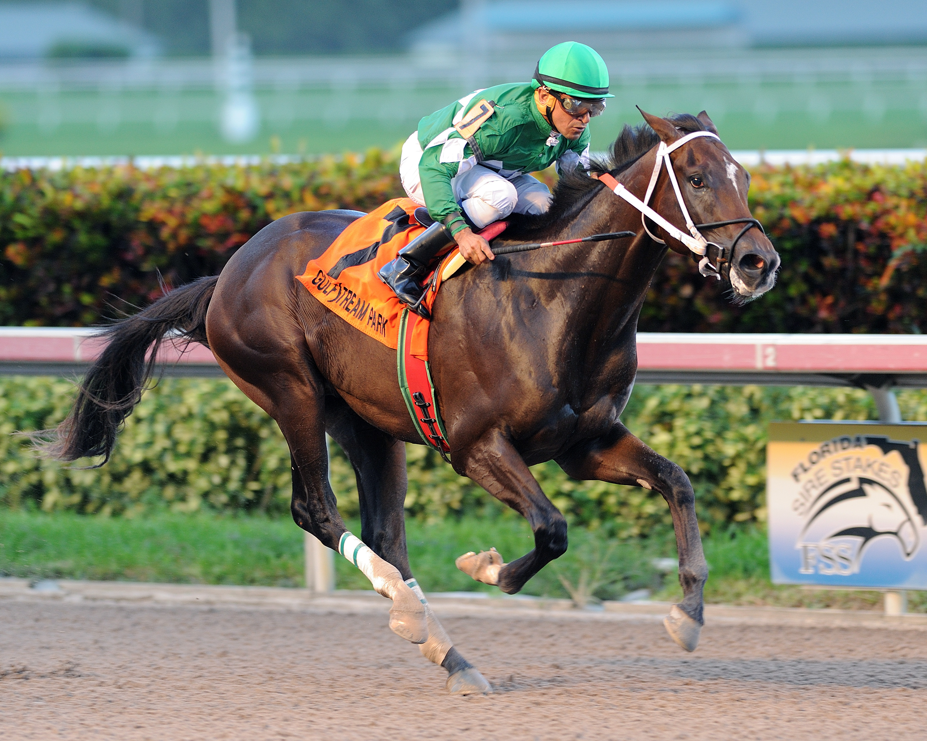 Three Rules wins the Affirmed Stakes