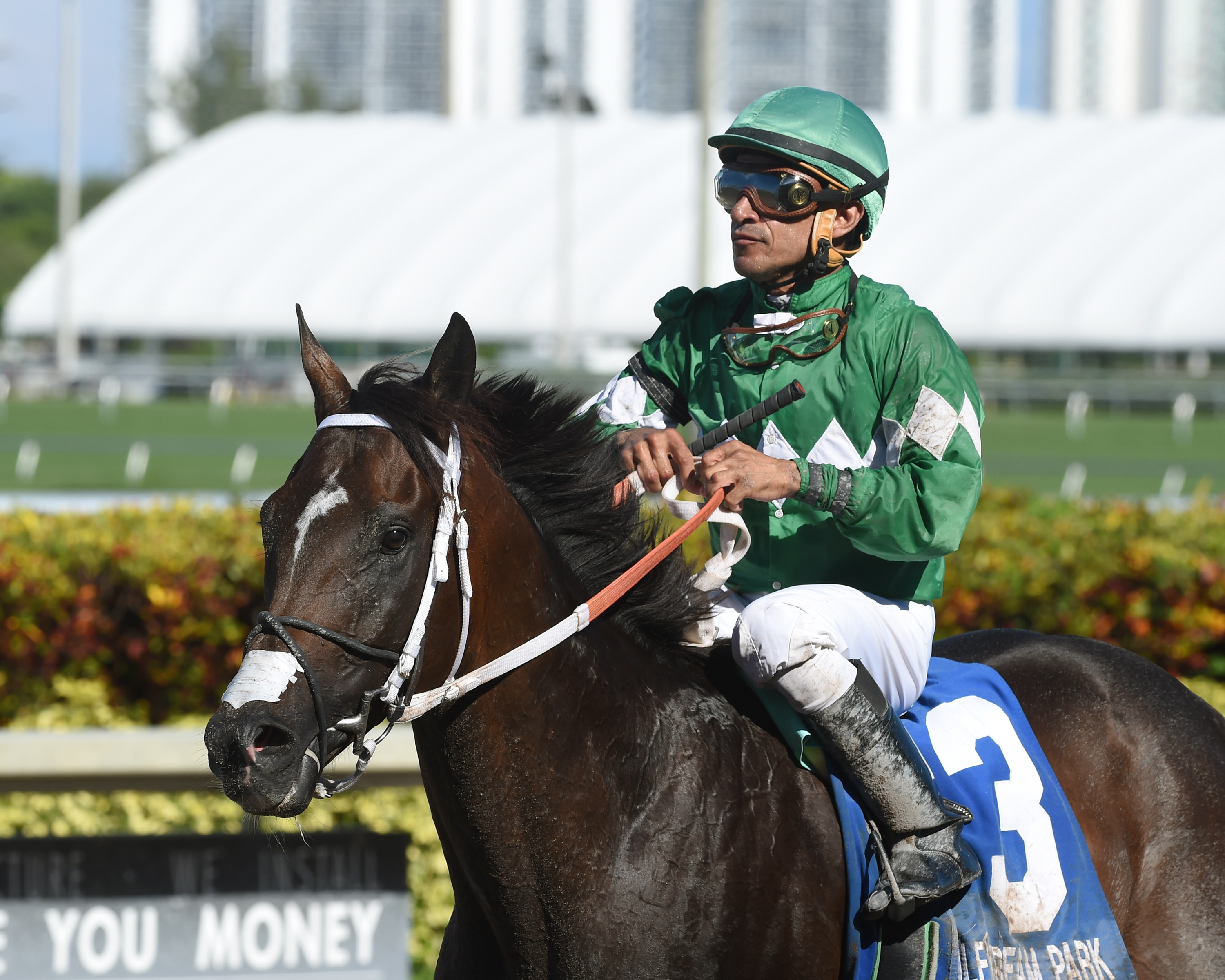 Three Rules at the Carry Back Stakes