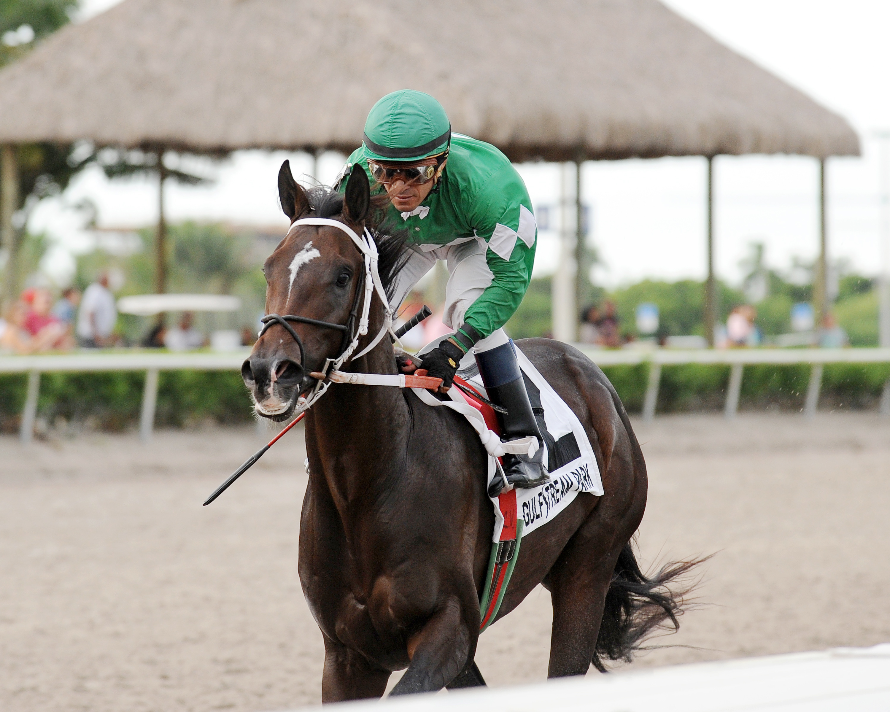Three Rules wins the In Reality Stakes