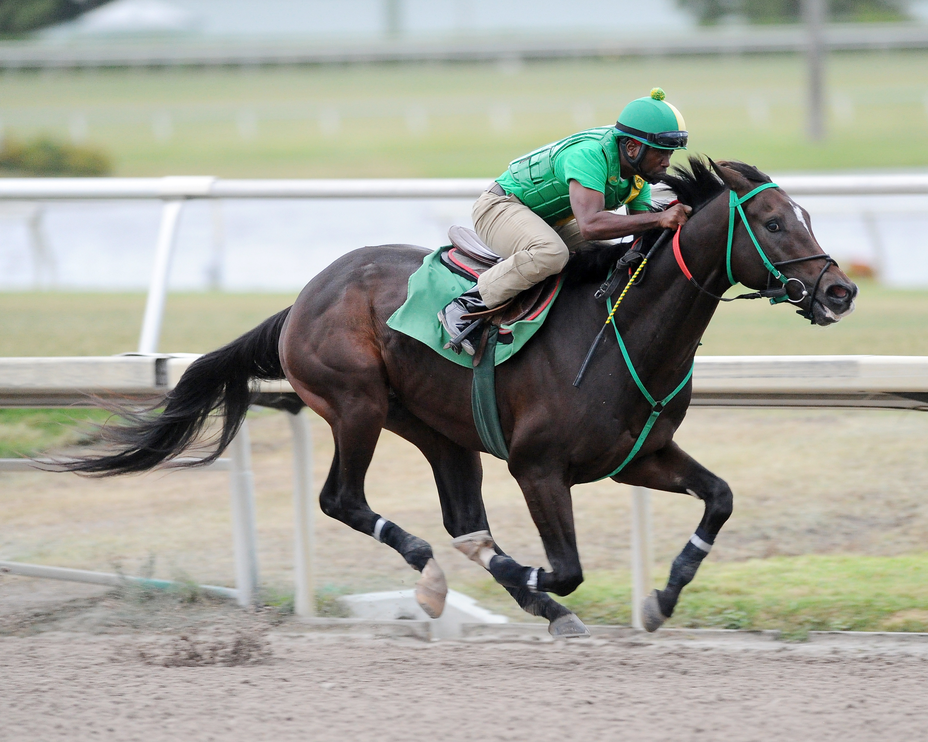 Three Rules trains at Gulfstream Park on Oct. 28