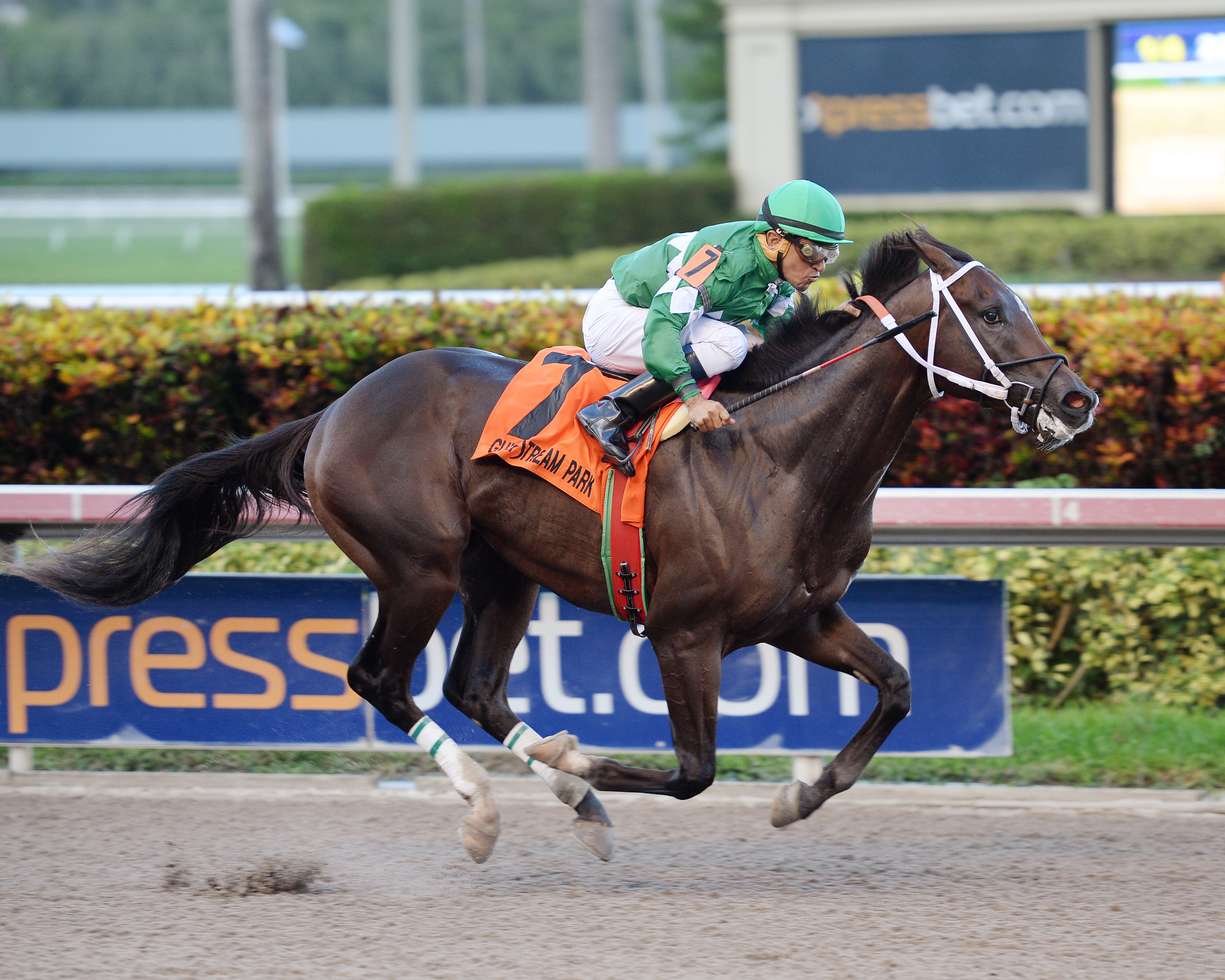 Three Rules wins the Affirmed