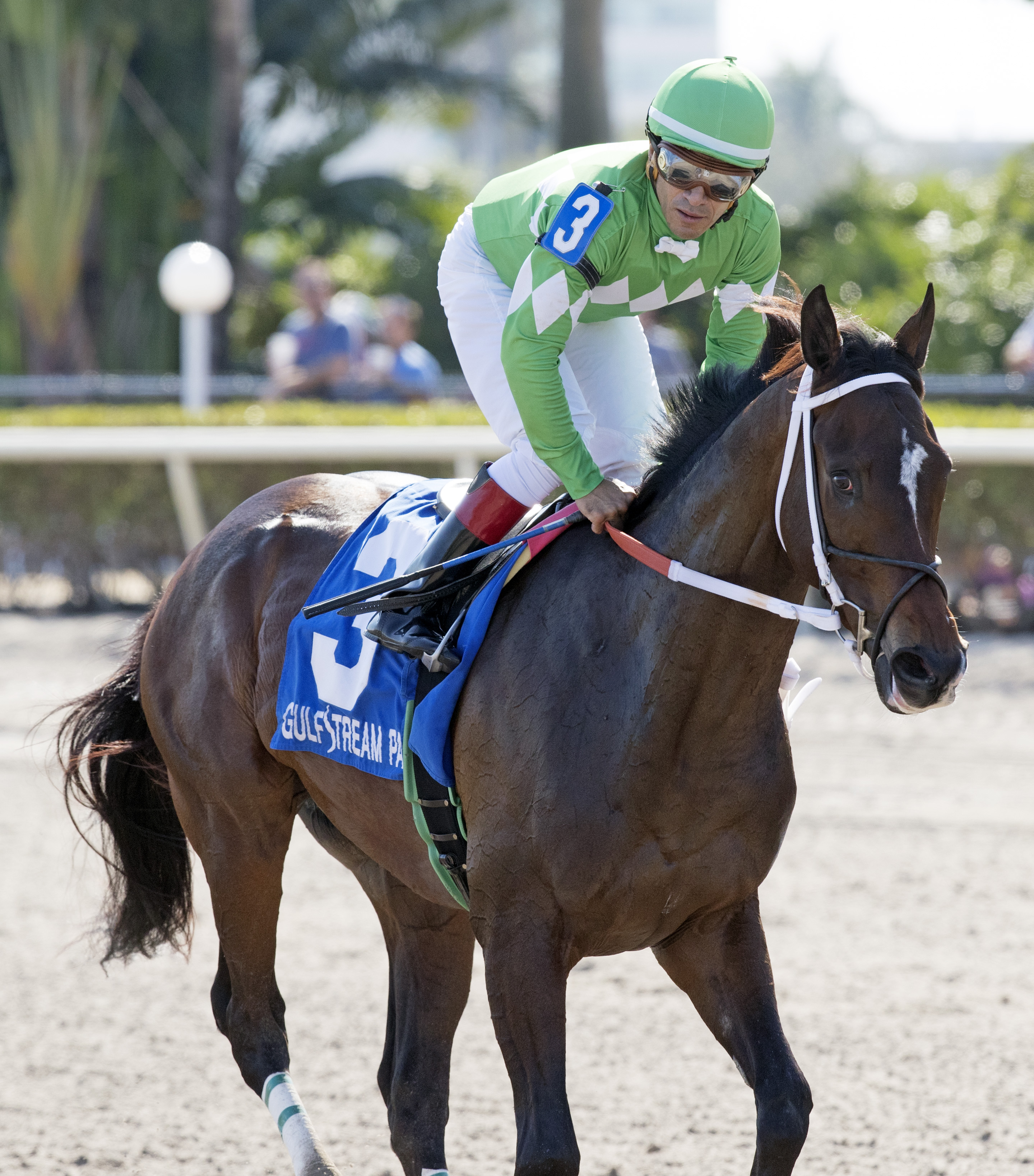 Three Rules finishes second in the Swale Stakes