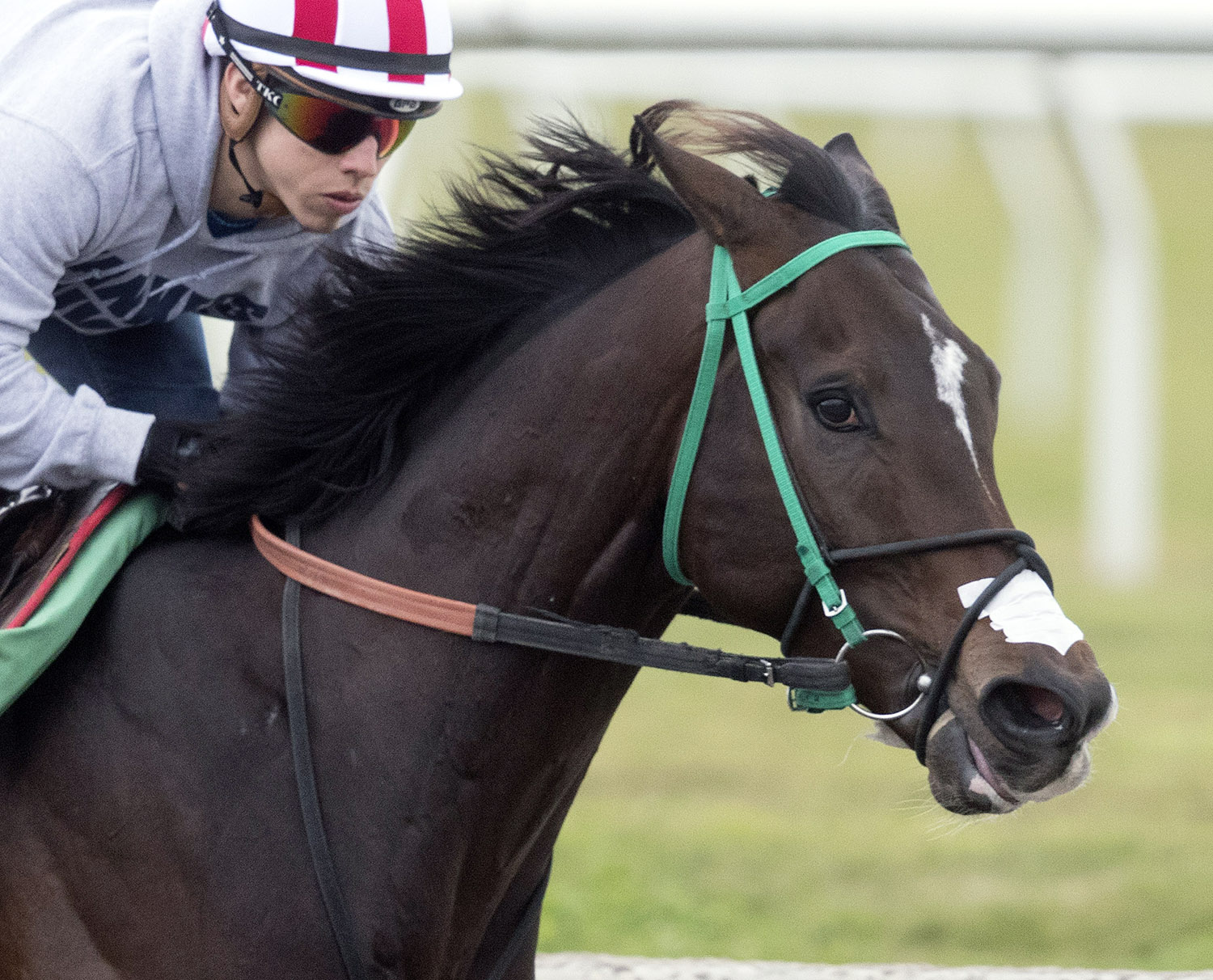 Three Rules trains at Gulfstream on Jan. 20
