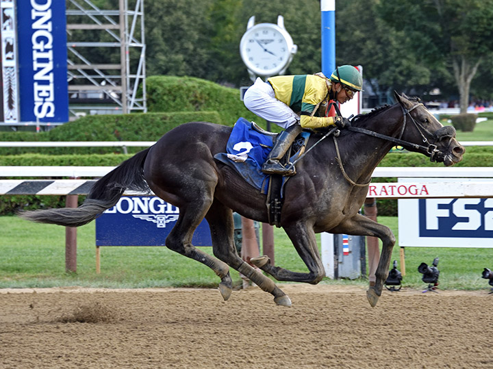 Three Technique wins an Aug. 31 maiden race at Saratoga Race Course