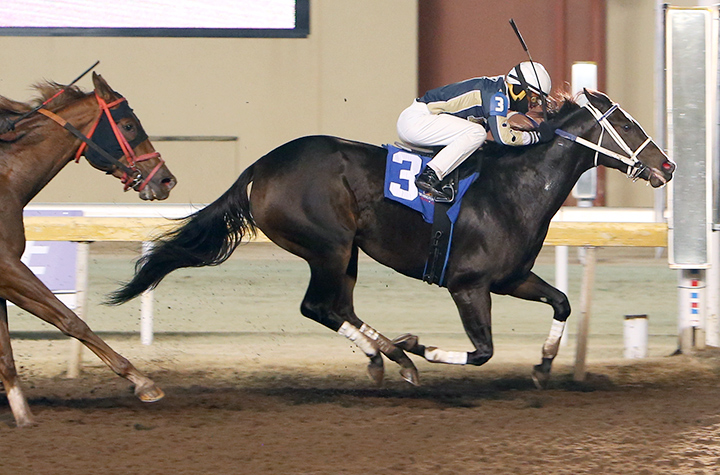 Three Chords wins a Nov. 22, 2019 allowance at Remington Park