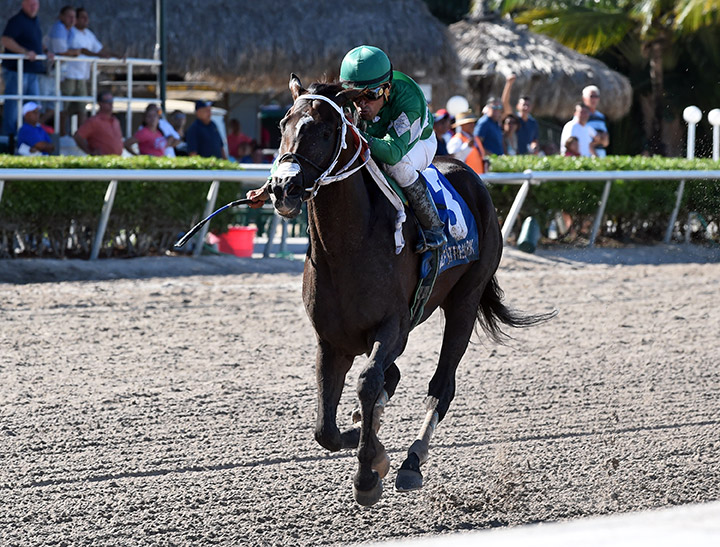 Three Rules wins the 2017 Grade 3 Carry Back Stakes at Gulfstream Park