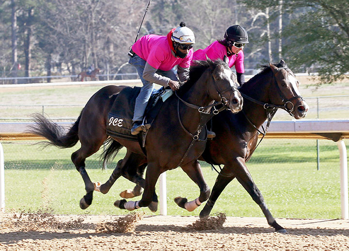 Three Technique (outside) and Wendell Fong train at Oaklawn on Feb. 29