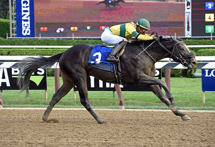 Three Technique wins an Aug. 31 maiden race at Saratoga Race Course