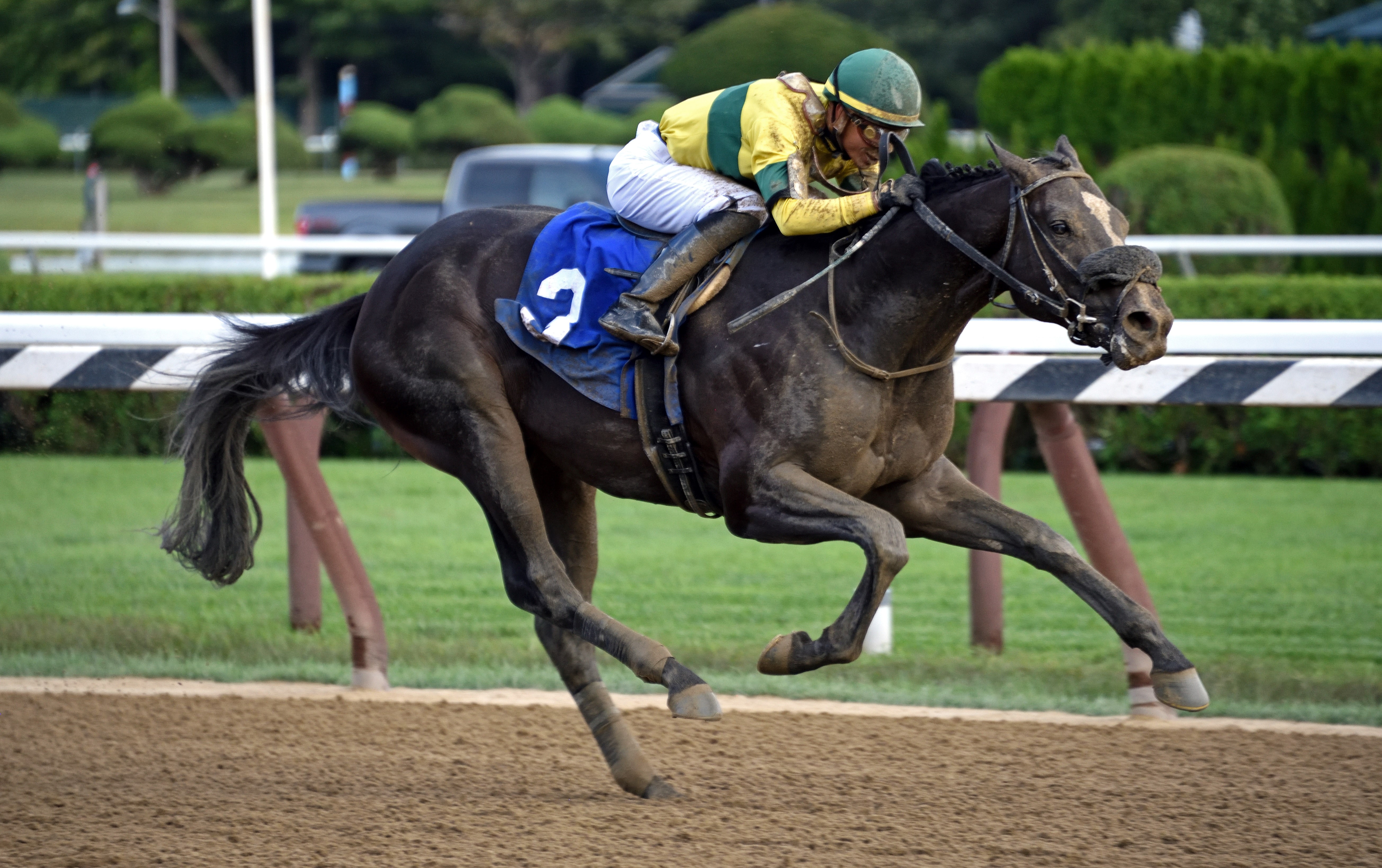 Three Technique wins a maiden race at Saratoga on 8.31.19