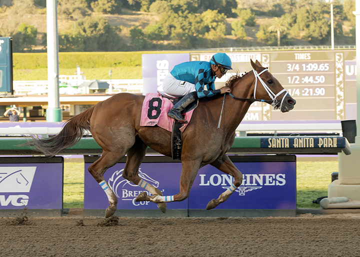 Threefiveindia wins a Nov. 1 allowance race at Santa Anita Park