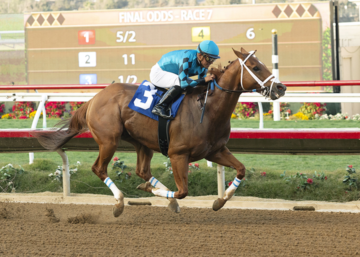 Threefiveindia wins a Nov. 14 allowance at Del Mar