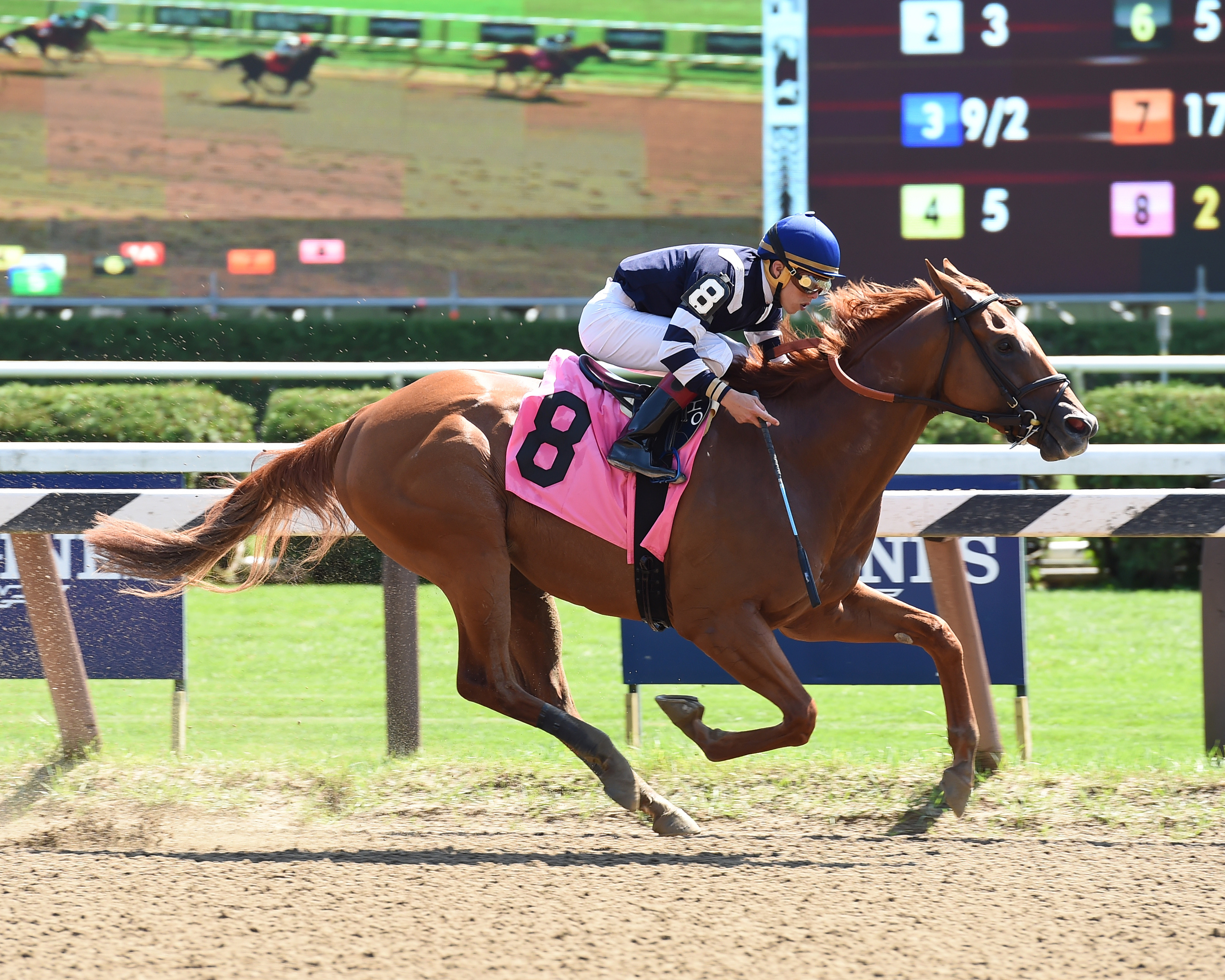 Threefiveindia wins an Aug. 27 allowance