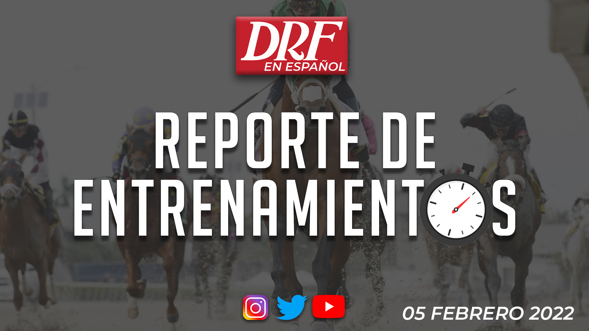 Reporte de Entrenamientos - Febrero 5