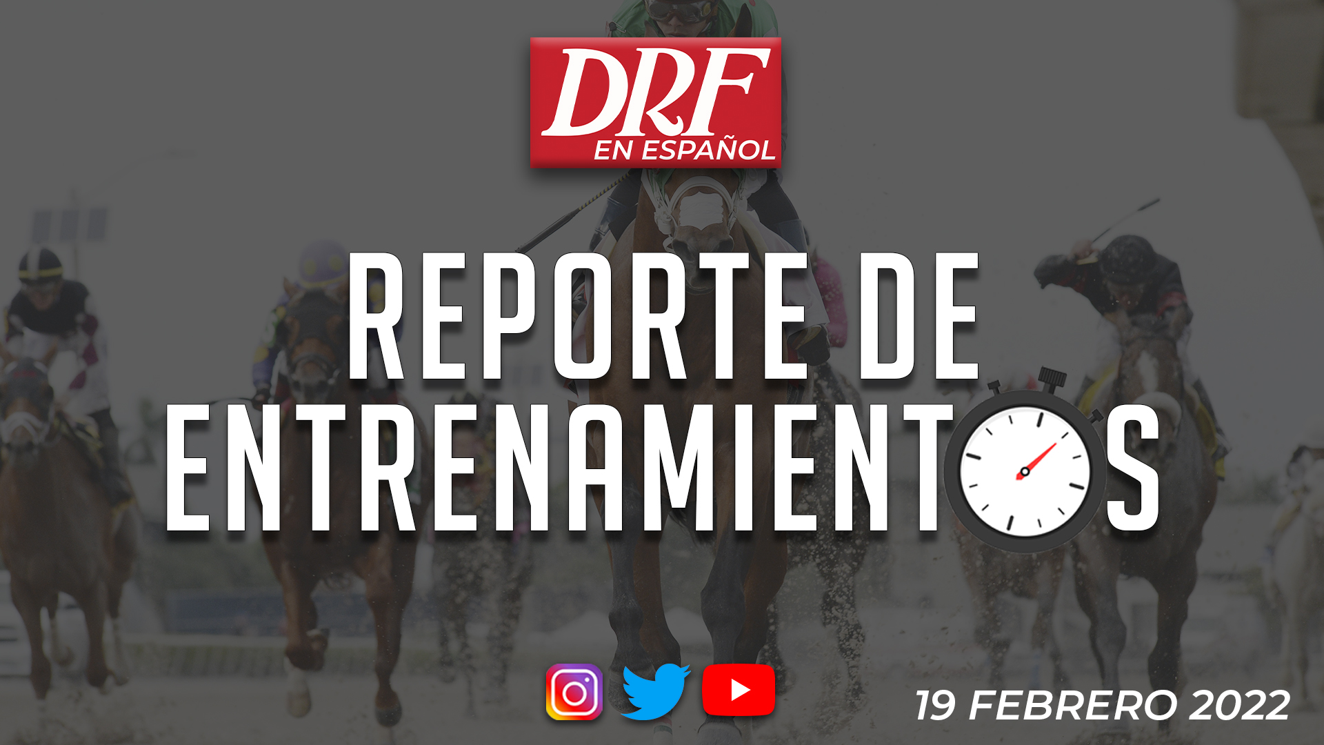 Reporte de Entrenamientos - Febrero 19