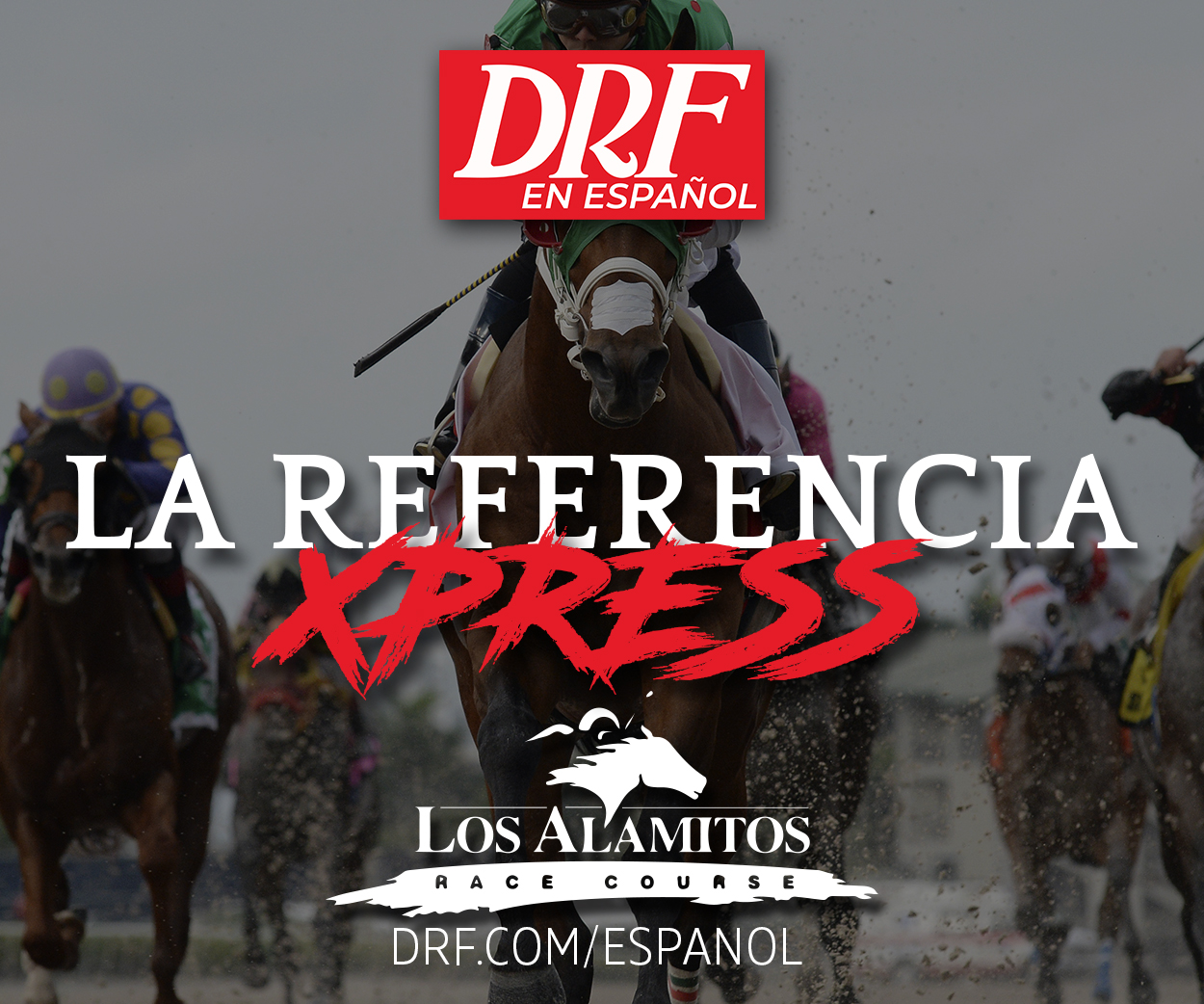 La Referencia Xpress - Los Alamitos