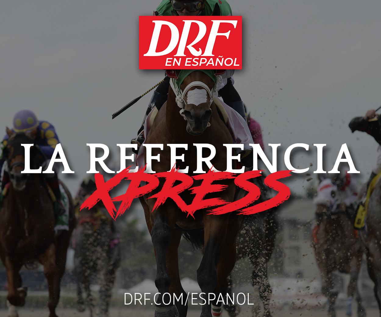 La Referencia Xpress