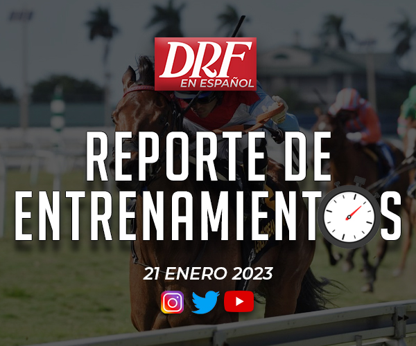 Reporte de Entrenamientos - Enero 21