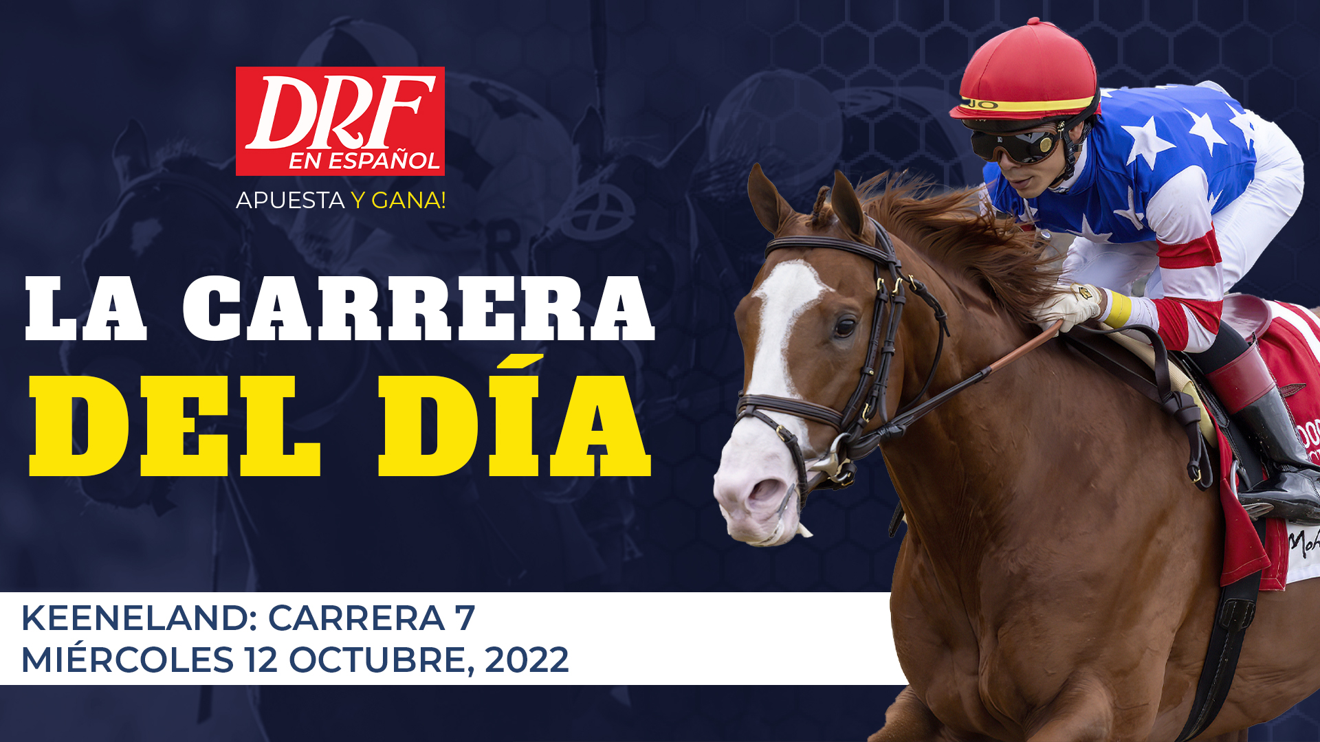 La Carrera del Día de DRF - 12 de octubre 2022