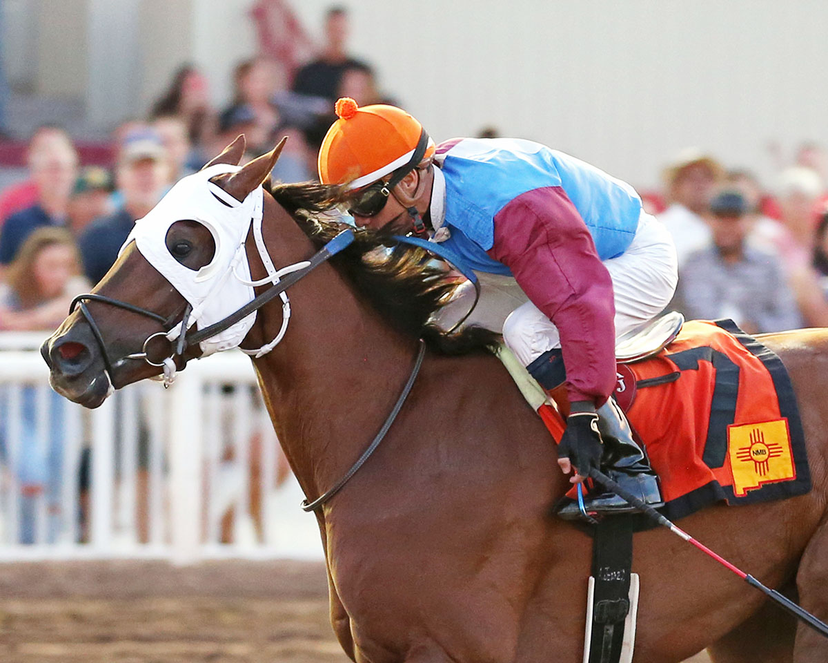 Thunder Dome wins the 2018 O.D. McDonald Stakes