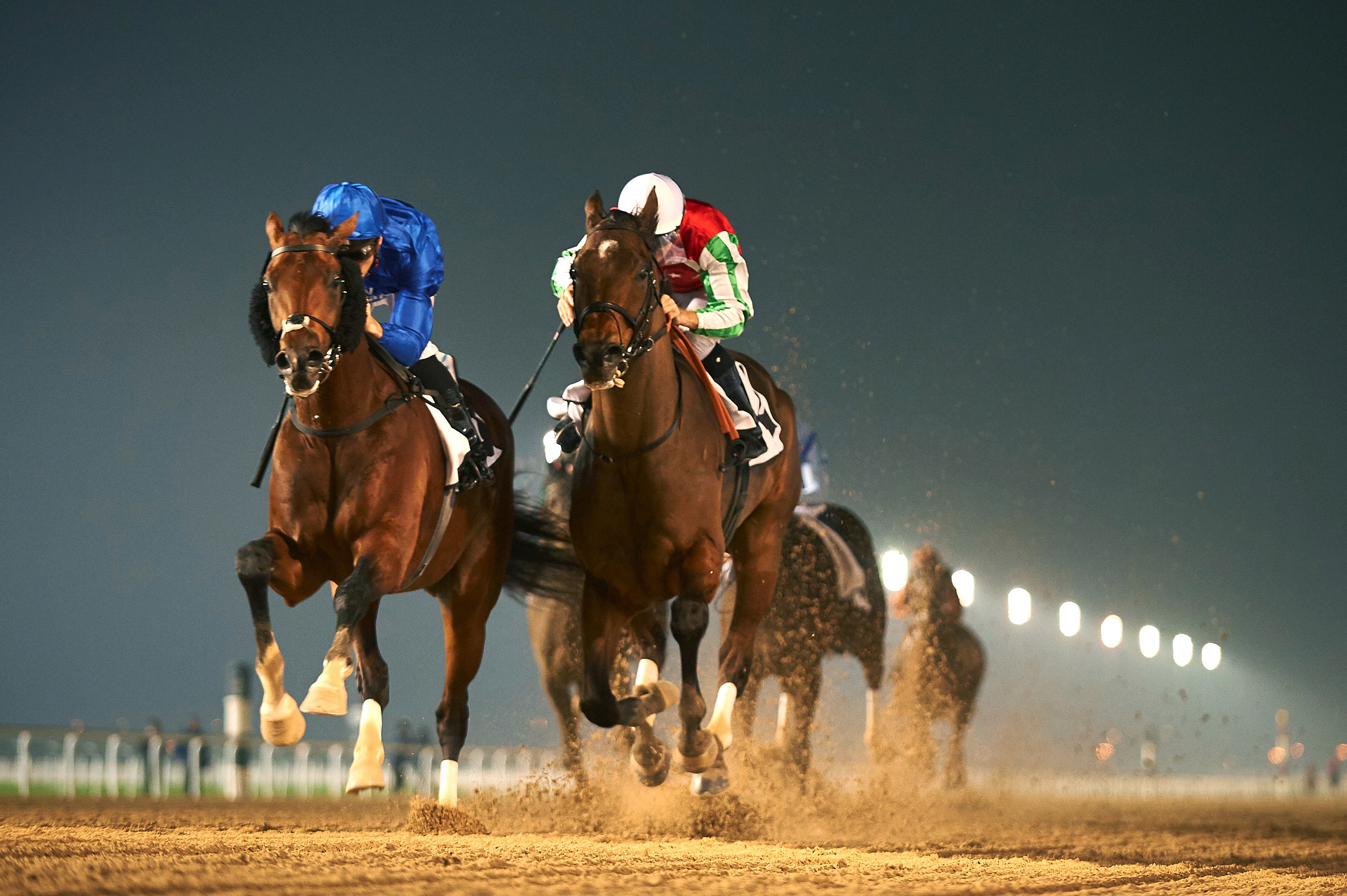 Thunder Snow wins the Al Maktoum Challenge