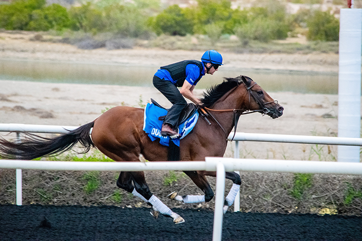 Thunder Snow trains at Goldophin's Al Quoz training centre