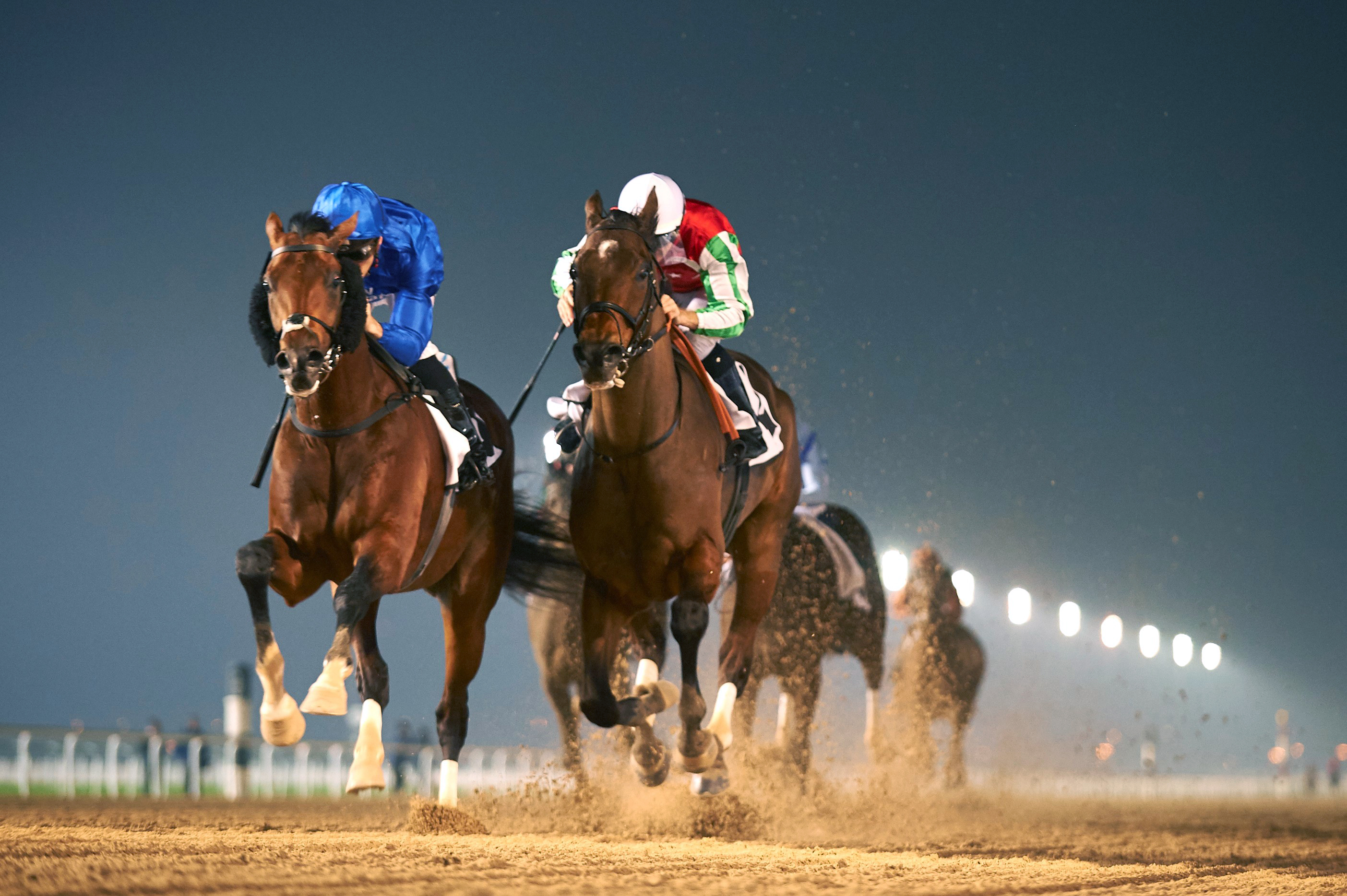 Thunder Snow wins the Al Maktoum Challenge