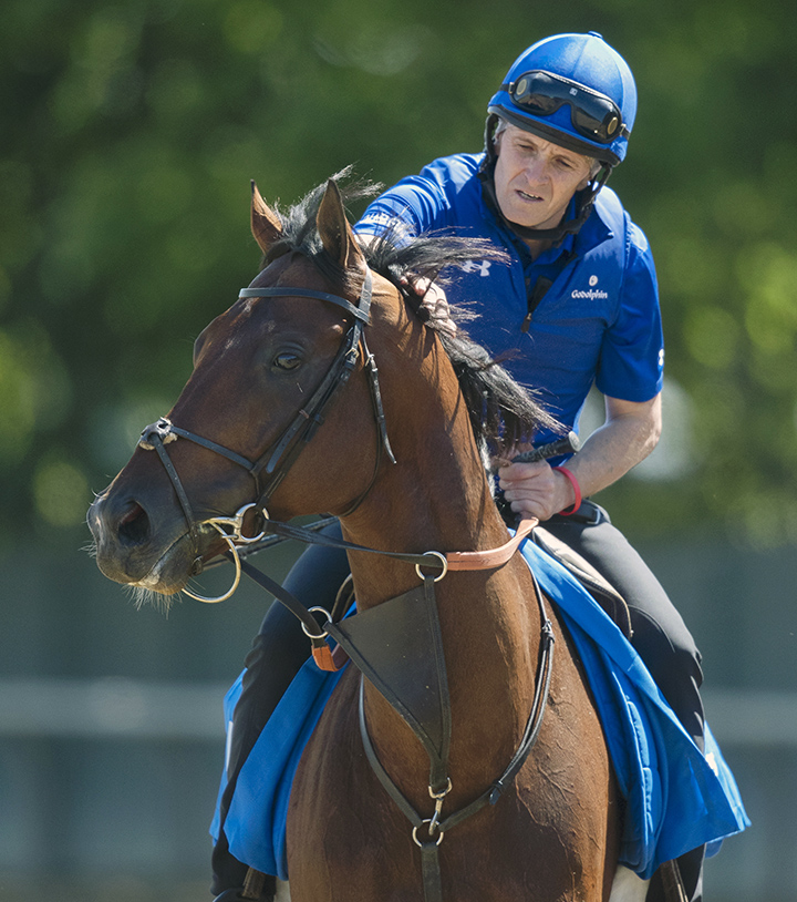 Thunder Snow at Belmont Park on June 4