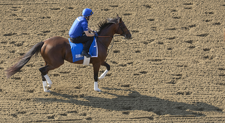 Thunder Snow at Saratoga Race Course on July 28