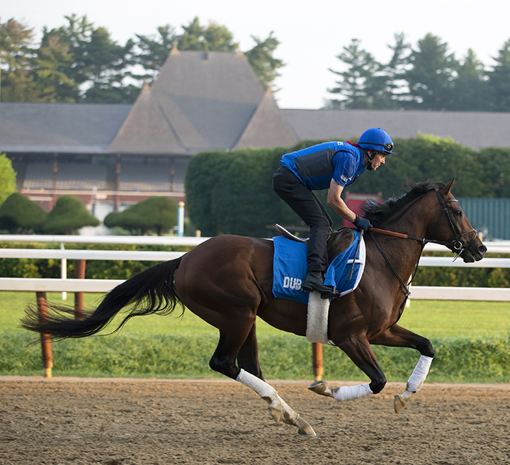 Thunder Snow trains at Saratoga Race Course on July 31