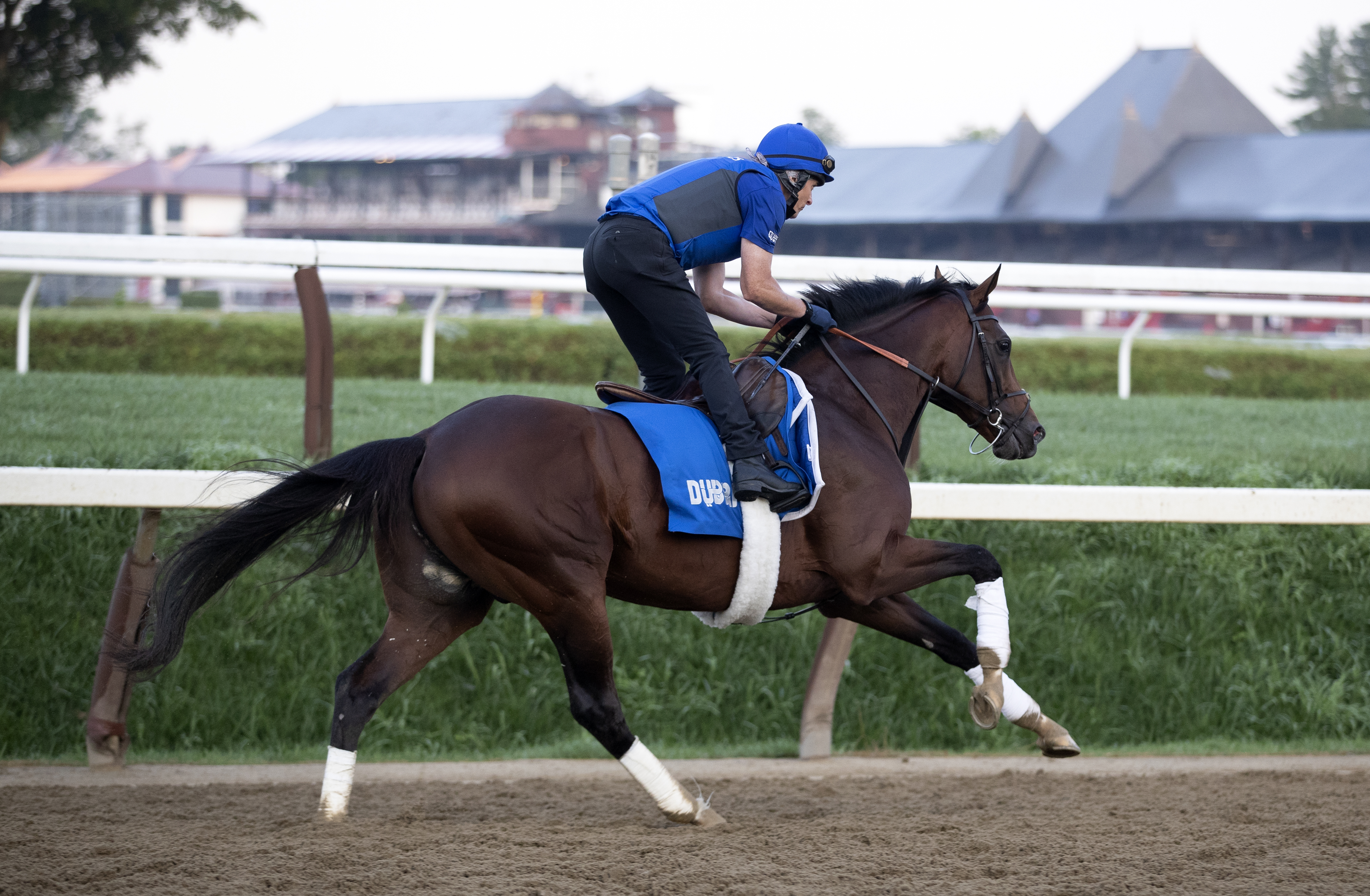 Thunder Snow trains at Saratoga on 8.1.19