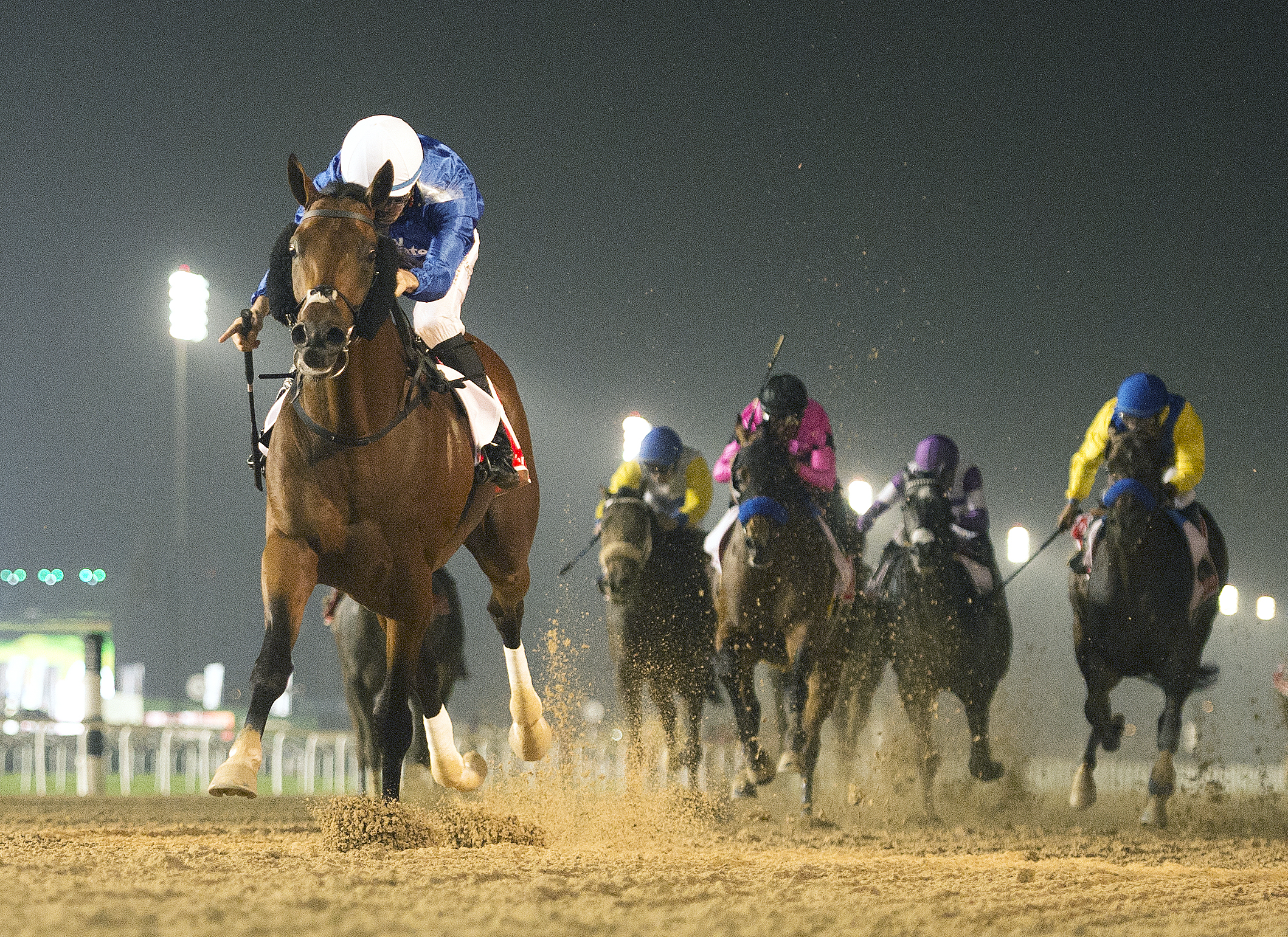 Thunder Snow wins the Dubai World Cup