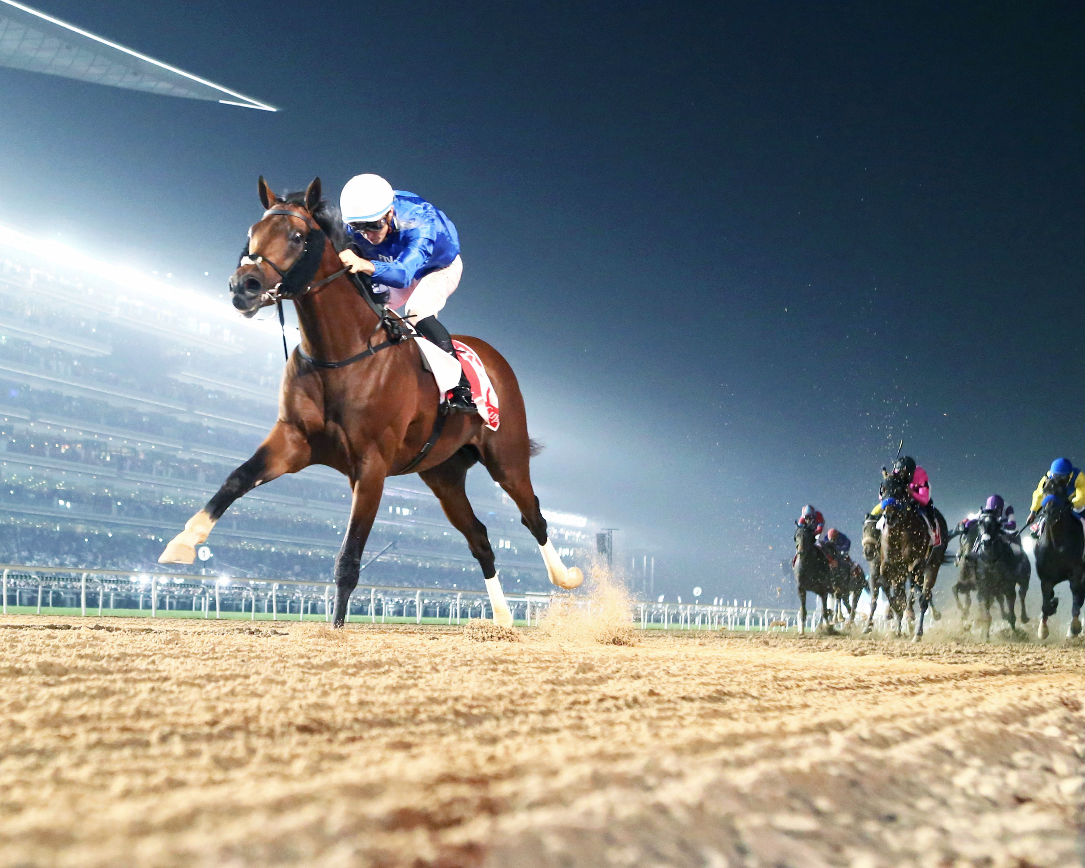 Thunder Snow wins the 2018 Dubai World Cup