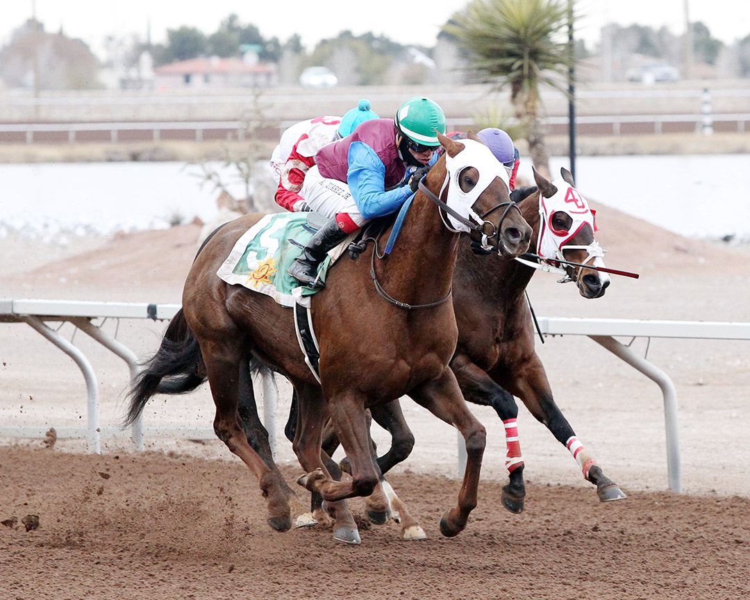 Thunder Dome wins the 2018 Johnie L. Jamison Handicap at Sunland Park