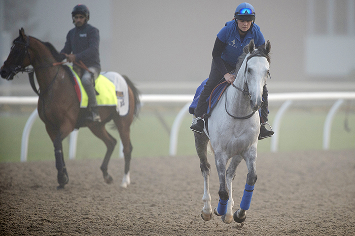 Thundering Blue at Woodbine on Oct. 9