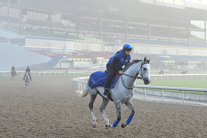 Thundering Blue at Woodbine on Oct. 9