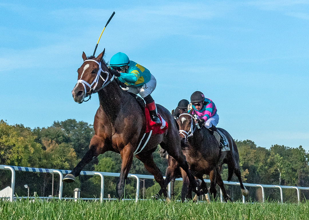 Tide of the Sea wins the 2021 Japan Turf Cup at Laurel Park