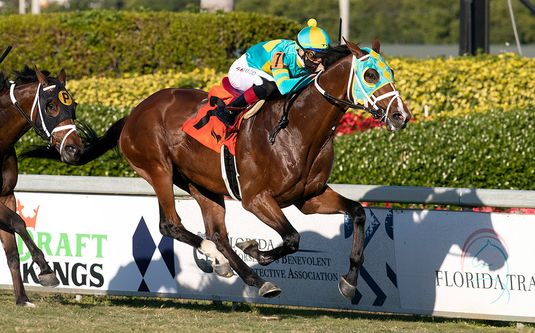 Tide of the Sea wins the 2021 W. L. McKnight at Gulfstream Park