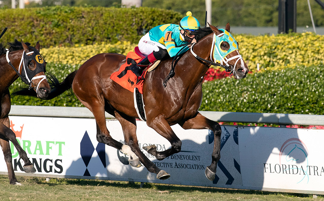 Tide of the Sea wins the 2021 W. L. McKnight at Gulfstream Park