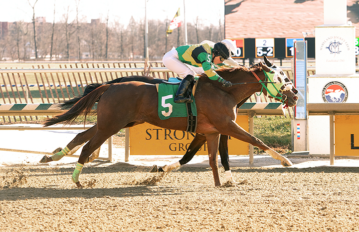 Tidy Stripe and Very Charming dead heat in a Dec. 29 claiming race