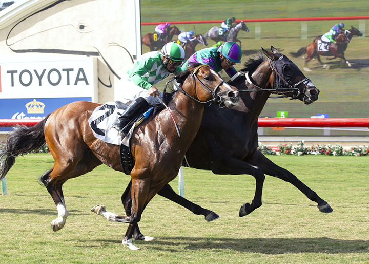 Tiger Dad (inside) wins an Aug. 16 allowance race at Del Mar