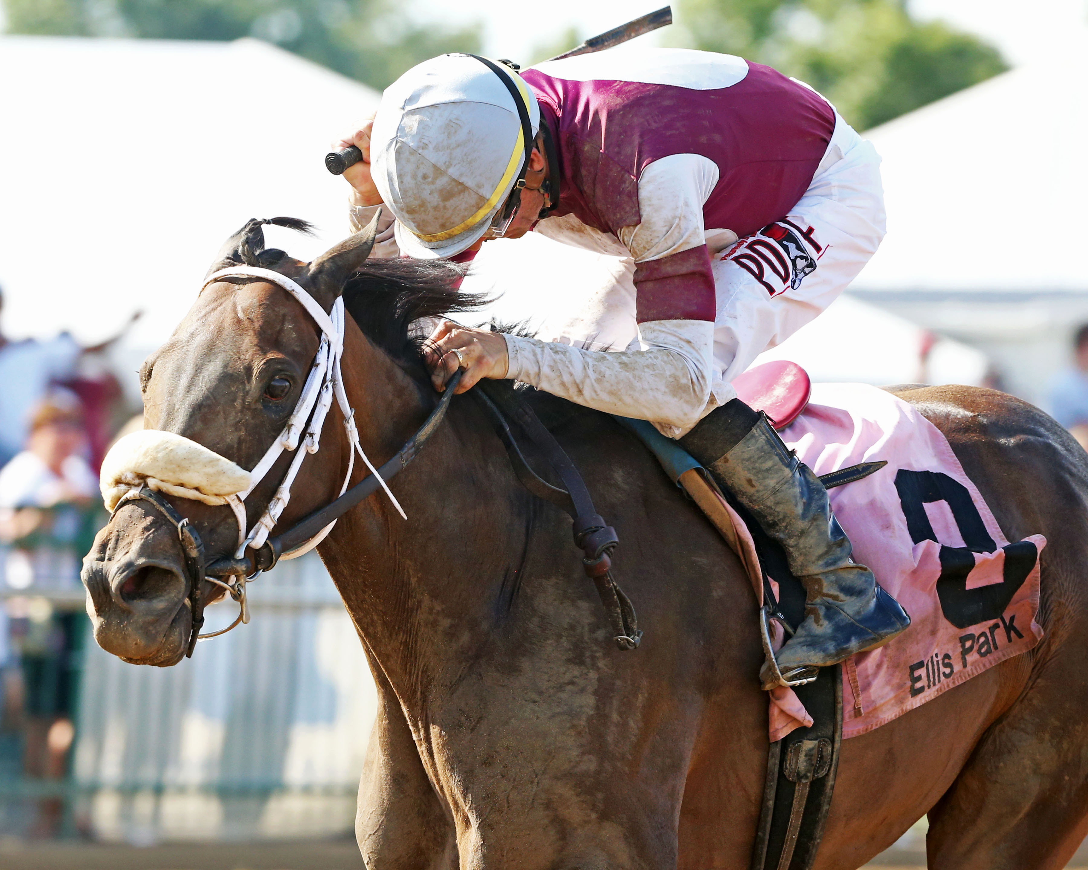 Tiger Moth wins the 2017 Groupie Doll
