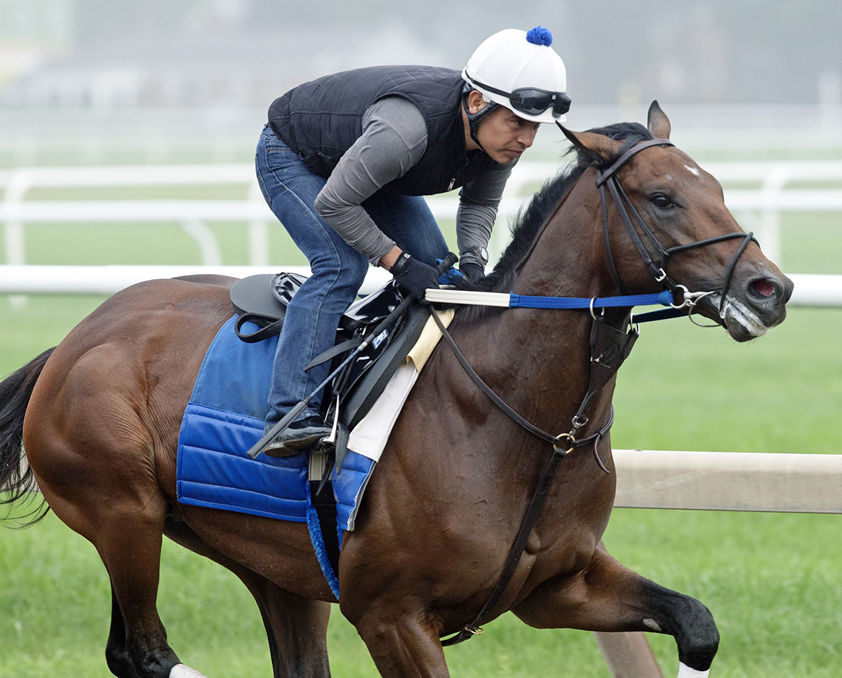 Tight Ten trains at Saratoga on Aug. 5