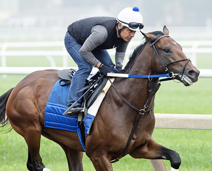 Tight Ten trains at Saratoga in August 2018