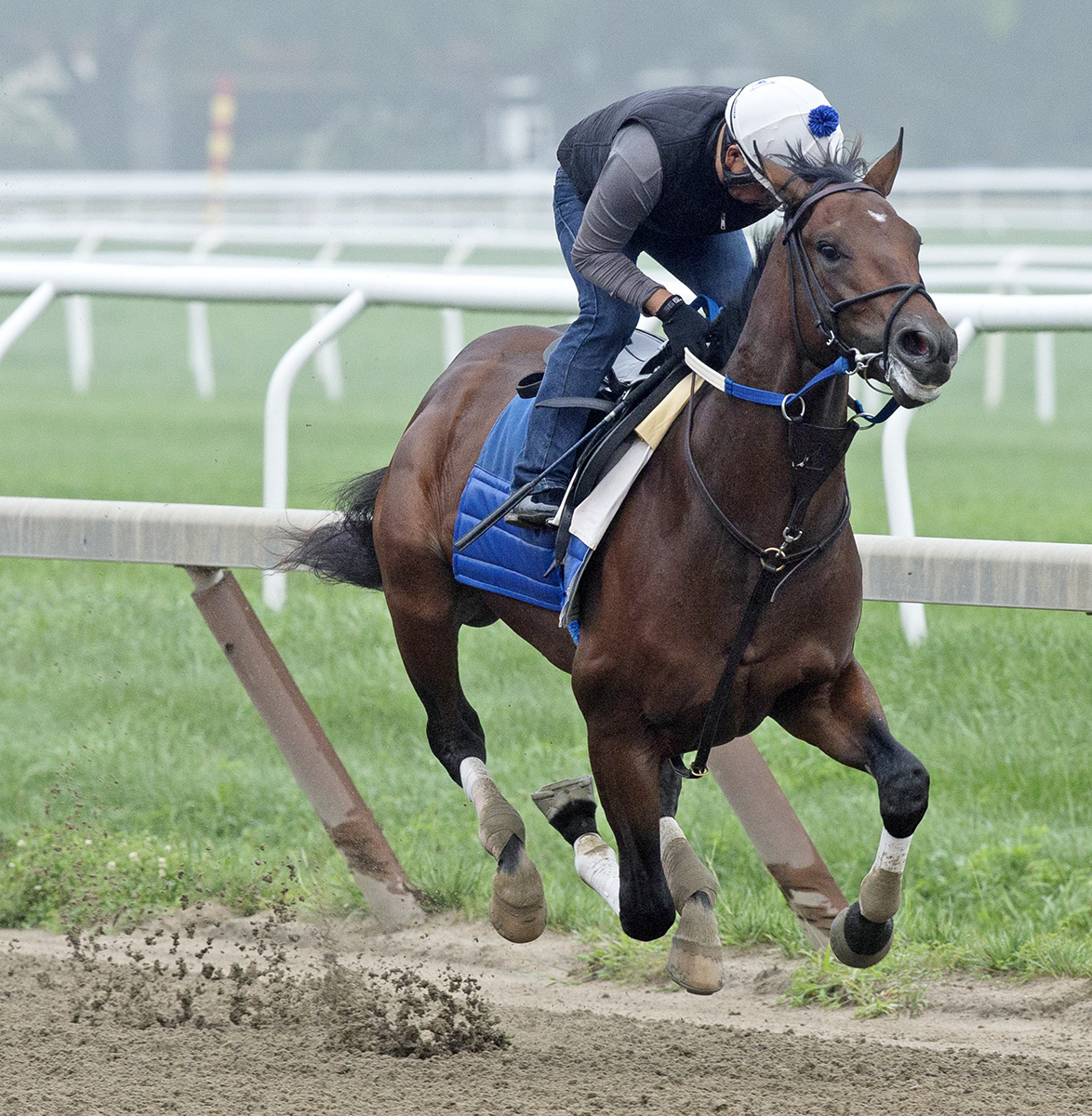 Tight Ten trains at Saratoga on Aug. 5