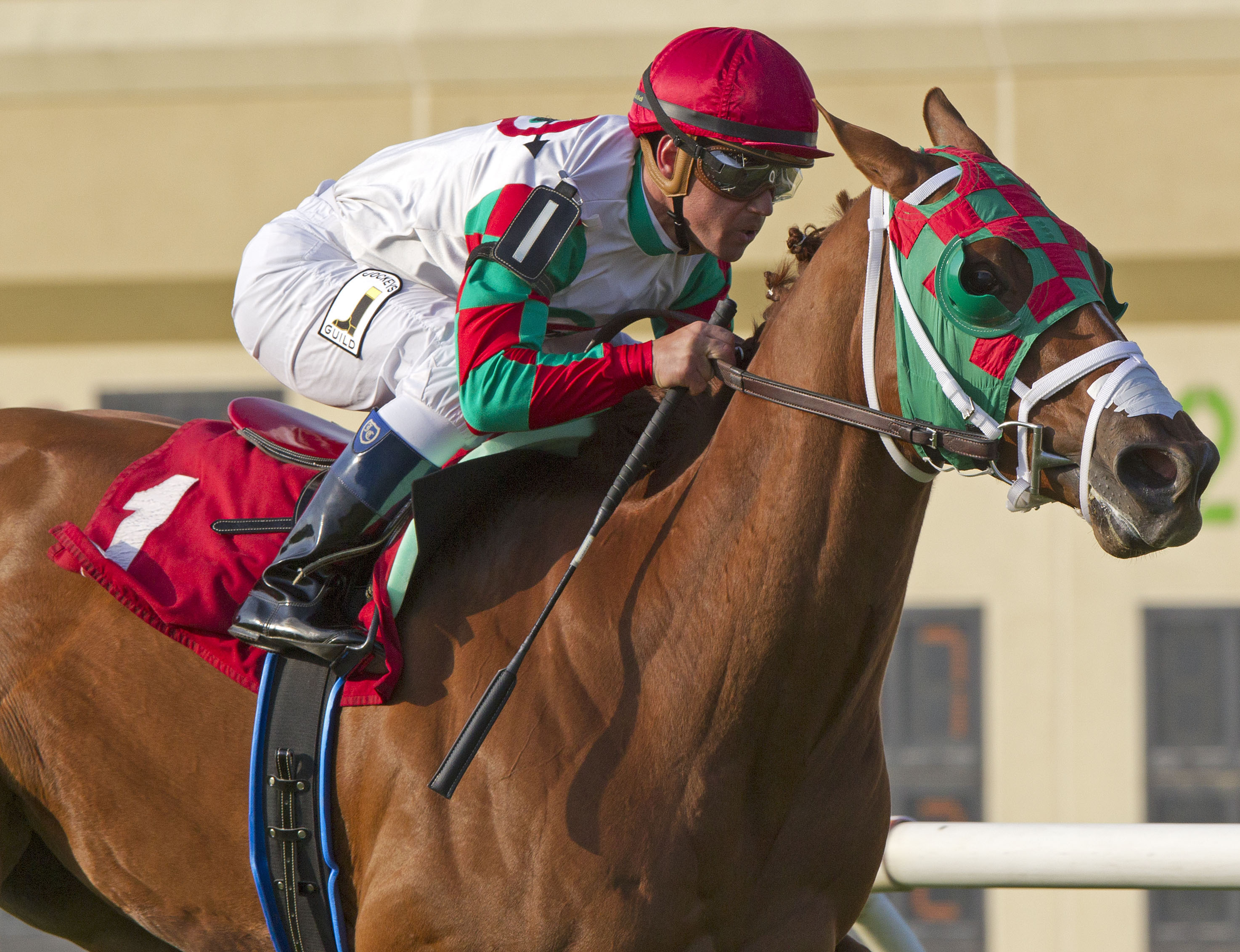 Tightend Touchdown, Pennsylvania Governor's Cup Handicap