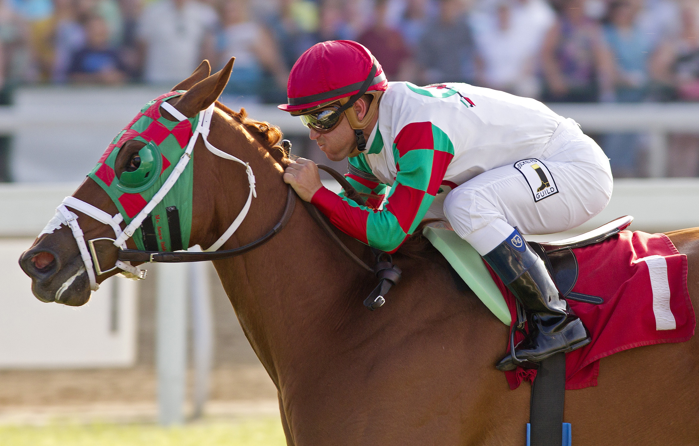 Tightend Touchdown, Pennsylvania Governor's Cup Handicap