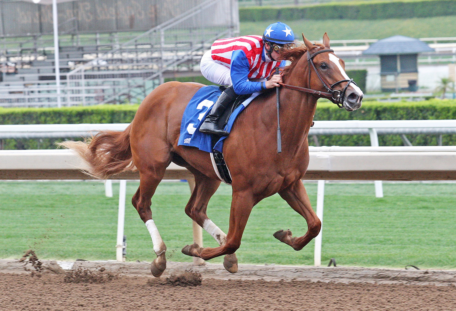Tijori wins a May 11 maiden race at Santa Anita