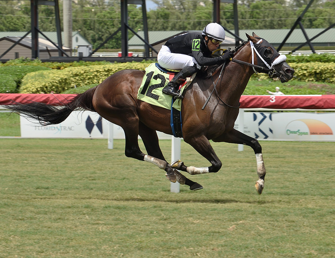 Til the End wins a June 19 allowance at Gulfstream Park